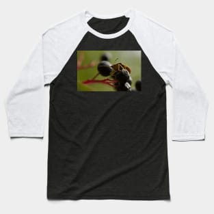 BEETLEJUICE Baseball T-Shirt